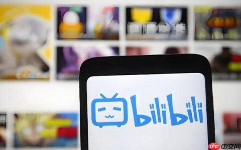 外网怎么上b站_从国外网络访问B站的操作方法