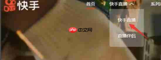 快手电脑版怎么看直播回放-快手电脑版看直播回放的方法
