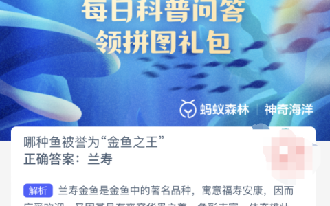 哪种鱼被誉为金鱼之王
