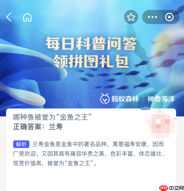 哪种鱼被誉为金鱼之王