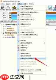 diskgenius分区工具怎样批量格式化USB磁盘