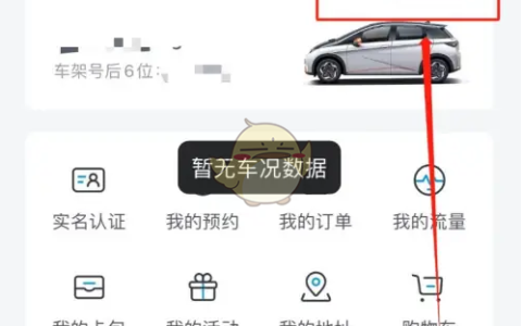《比亚迪》授权给别人方法