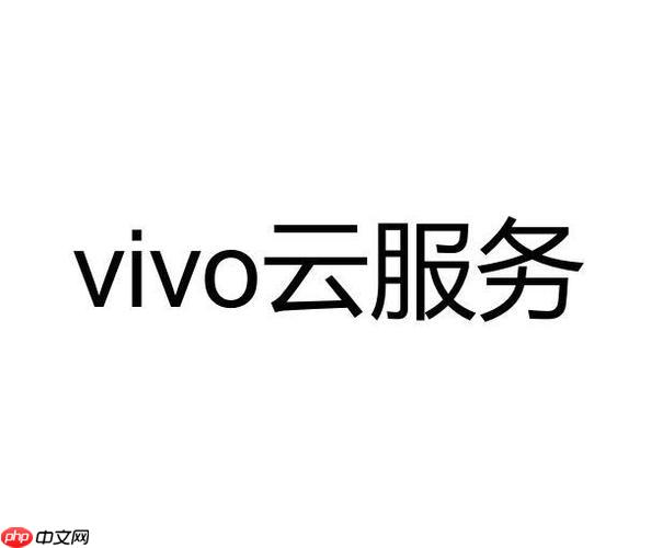 vivo云服务支持哪些机型 哪些机型支持vivo云服务