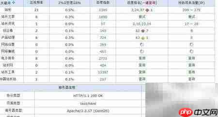 如何用站长工具查网站信息