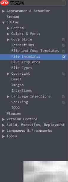 Android Studio编码设置指南