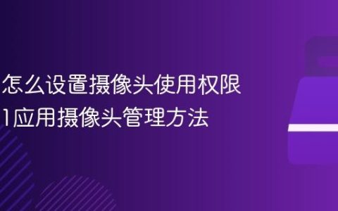 Win11怎么设置摄像头使用权限_Win11应用摄像头管理方法