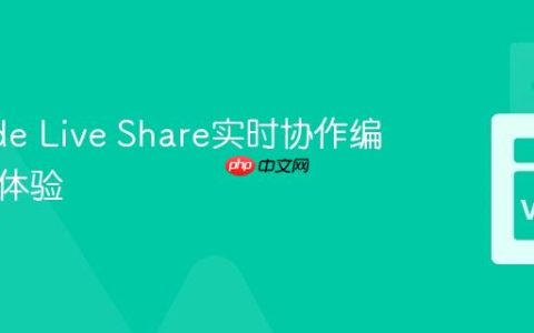 VSCode Live Share实时协作编程深度体验