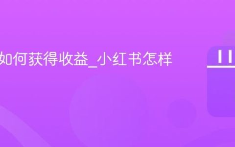 小红书如何获得收益_小红书怎样变现