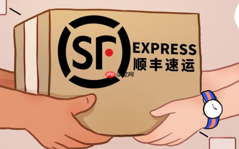顺丰快递运单实时查询 顺丰物流包裹运输追踪