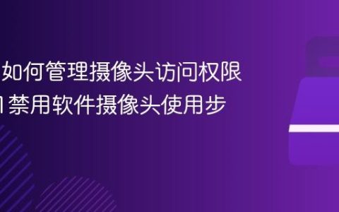 Win11如何管理摄像头访问权限_win11禁用软件摄像头使用步骤