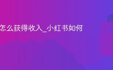 小红书怎么获得收入_小红书如何挣钱