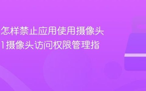 Win11怎样禁止应用使用摄像头_Win11摄像头访问权限管理指南
