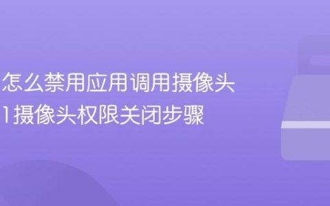 Win11怎么禁用应用调用摄像头_Win11摄像头权限关闭步骤