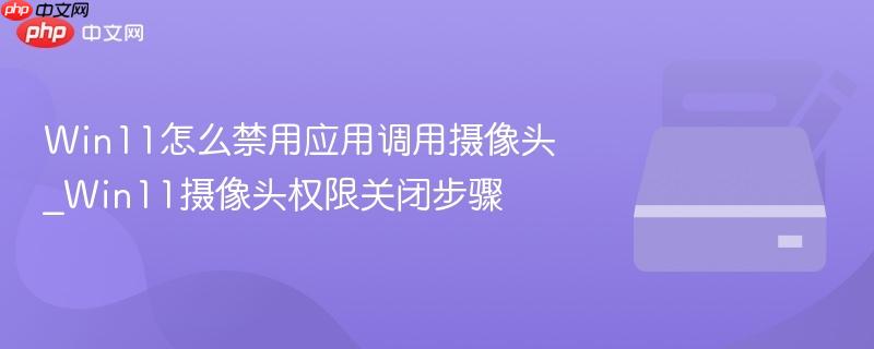 Win11怎么禁用应用调用摄像头_Win11摄像头权限关闭步骤