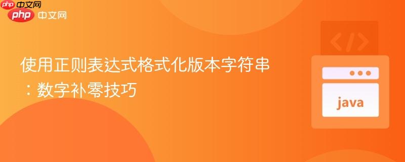使用正则表达式格式化版本字符串:数字补零技巧