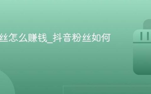 抖音粉丝怎么赚钱_抖音粉丝如何变现
