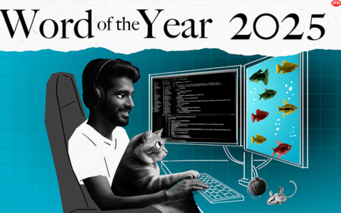 Vibe coding 成为 2025 年柯林斯词典年度词汇