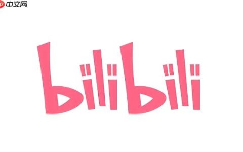 哔哩哔哩怎么设置账号安全密码_B站账号密码修改与安全设置方法