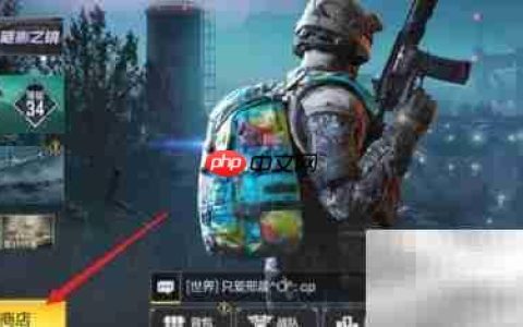 FR556谜影之镜获取攻略