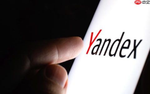 Yandex网页版官方主入口_支持中文的Yandex搜索直达