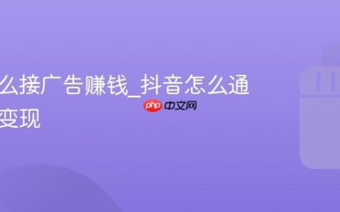 抖音怎么接广告赚钱_抖音怎么通过广告变现