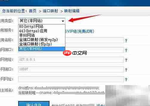 新花生壳映射服务上线