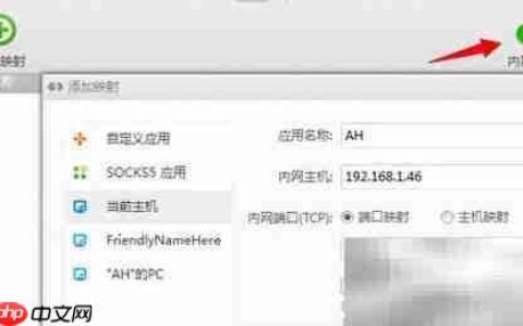 新花生壳映射服务上线