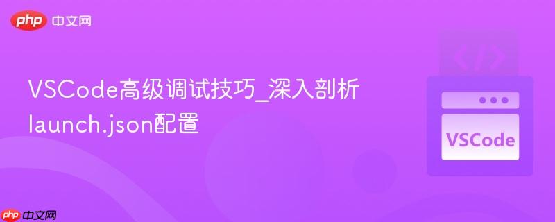 vscode高级调试技巧_深入剖析launch.json配置