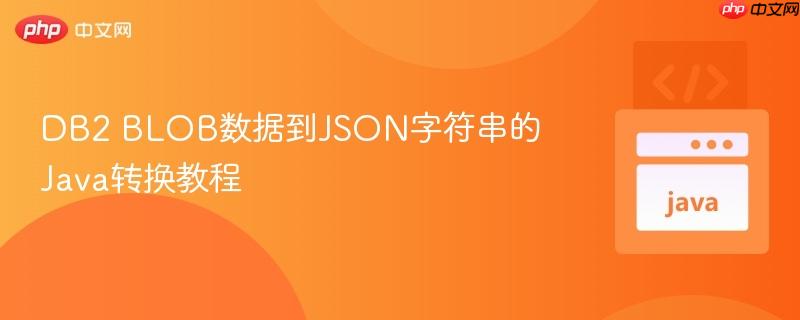DB2 BLOB数据到JSON字符串的Java转换教程