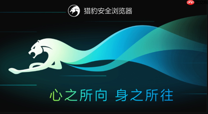 2025俄罗斯猎豹安全浏览器入口 最新可用官方网站地址