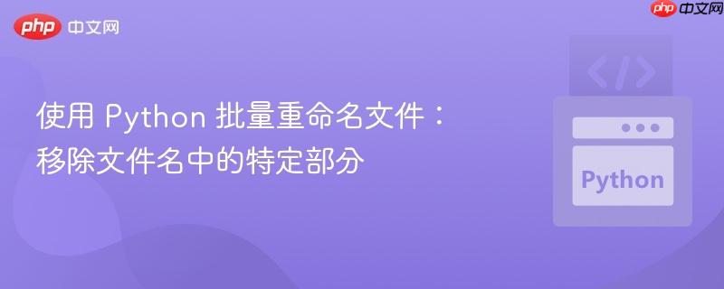 使用 Python 批量重命名文件：移除文件名中的特定部分