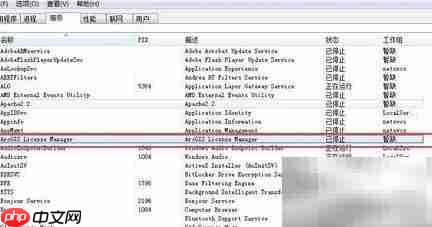 ArcGIS许可服务器无法打开