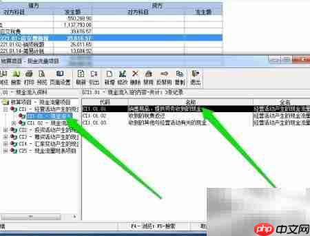 金蝶批量设置现金流量