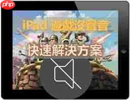 苹果iPad玩游戏没声音怎么解决