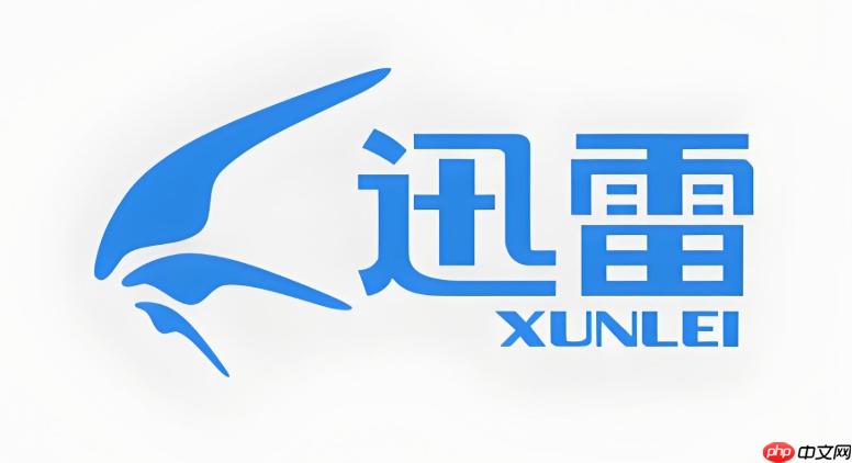 迅雷下载时硬盘占用100%怎么办_迅雷硬盘占用过高解决方法
