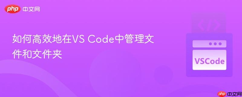 如何高效地在vs code中管理文件和文件夹