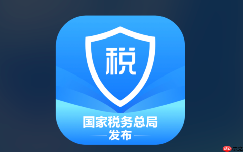 个人所得税退税申请入口 官方网页版查询入口