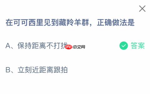 在可可西里见到藏羚羊群，正确做法是