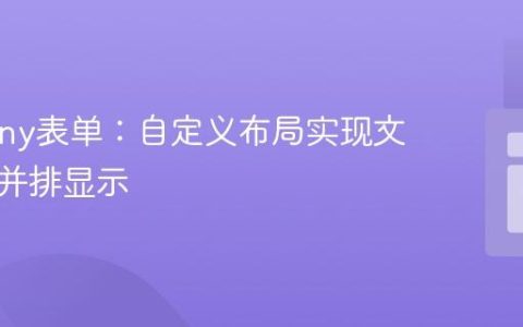 Symfony表单：自定义布局实现文本字段并排显示