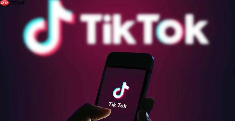 tiktok国际版安装指南_国际抖音tiktok使用教程2025