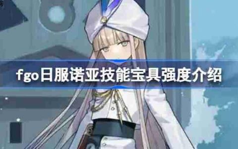 fgo日服诺亚技能宝具强度介绍-fgo日服诺亚技能宝具怎么样