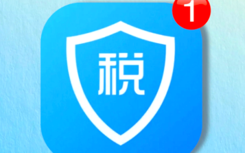 个人所得税官网入口登录 网页版在线查询入口