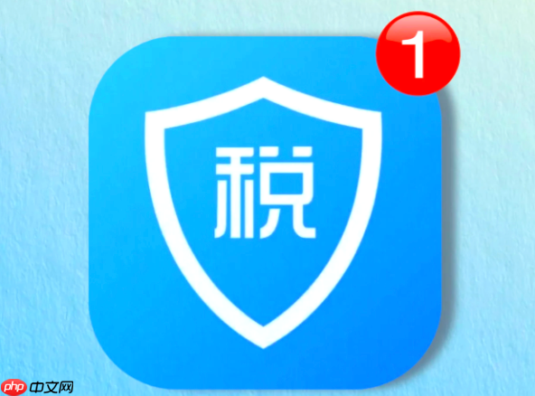 个人所得税官网入口登录 网页版在线查询入口