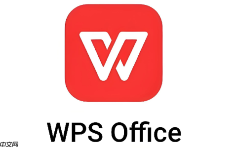 复制粘贴后的WPS公式失效了怎么办 掌握选择性粘贴中的“公式”选项