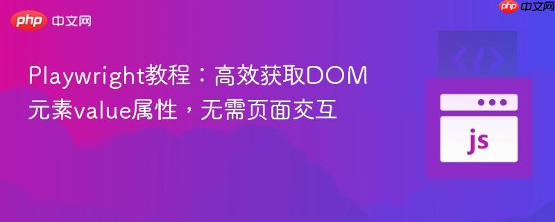 Playwright教程:高效获取DOM元素value属性,无需页面交互
