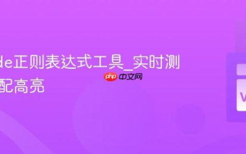 VSCode正则表达式工具_实时测试与匹配高亮