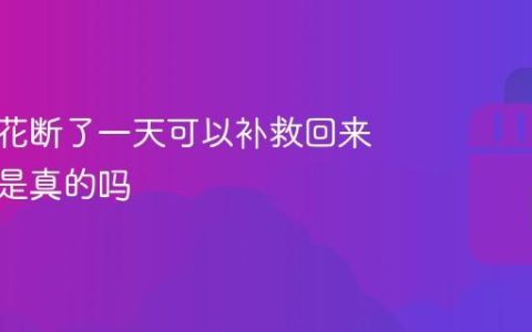 抖音火花断了一天可以补救回来吗？抖音火花断了一天可以补救回来吗是真的吗