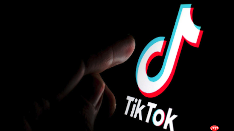 TikTok网页版登录入口地址 TikTok官方入口账号登录