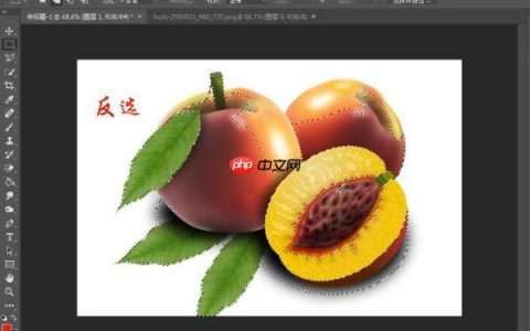 NikCollection图层蒙版怎么用_NikCollection图层蒙版滤镜应用方法