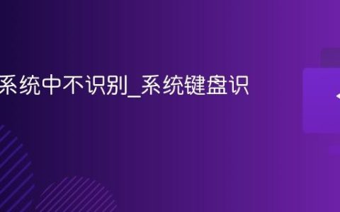 键盘在系统中不识别_系统键盘识别故障